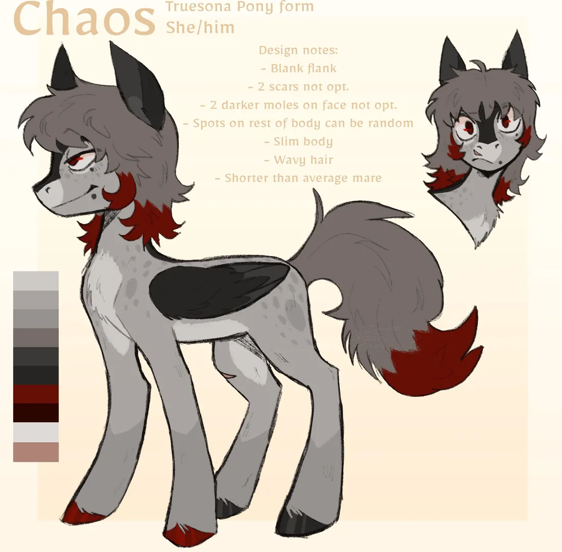 A grey pony character reference named Chaos