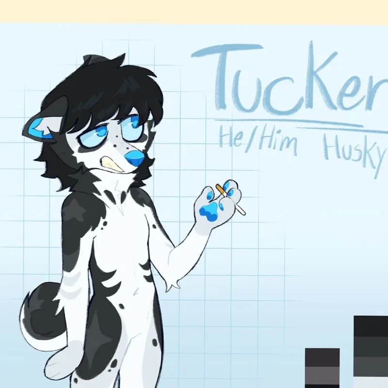 Tucker, a custom designed husky character with his name and color palette